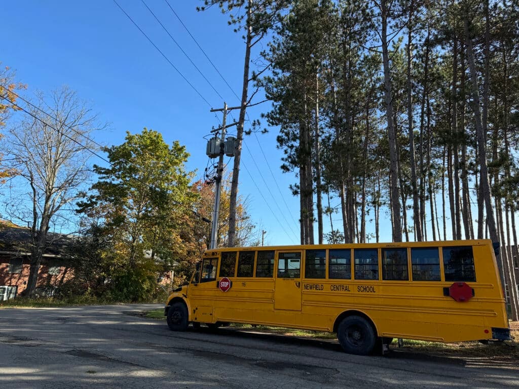 Yellow school bus stopped near trees and power lines on a clear day.